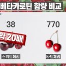 체리 - 시흥시 신현로30번길 16 | 체리