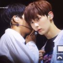 데헷 이미지