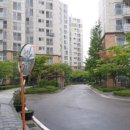 상암나무약국 이미지