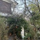 [연남동 카페] 청수당 공명 내돈내산 후기/ 스톤 드립 계란 커피, 가격, 분위기