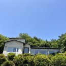 스테이안 이미지