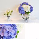 꽃꽃이 고급 이미지