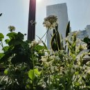 성베드로한방병원 이미지