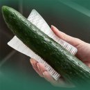 아이온컴퍼니 쇼핑하우