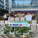 고양고등학교 이미지