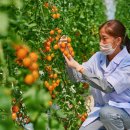 첨단농장 이미지