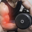 고릴라 피트니스 이미지