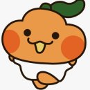 바이비유한책임회사 | [마쓰야마편][5월] (전)회사 Girl 들과 함께 떠난 2박 3일 여행기 1일차