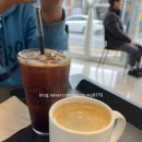 의령 갈매기