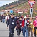 봉화목장 이미지