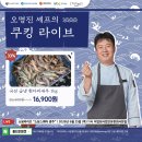 왕새우라이브