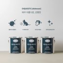 무몰딩 벽지 시공 방법 대공개! (feat, 인코너비드, 디아망 무몰딩 시공, 무몰딩 밑작업)
