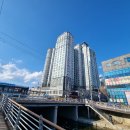 산호동491 이미지