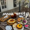 율하우리동물약국 | 김해(장유,율하)-‘카페모하’ 숨은 브런치맛집, 꽃 구경 (내돈내산,솔직후기)+소품
