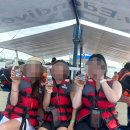 샷건짐 | 필리핀 보홀 여행 선셋 투어 호핑 투어 정어리 떼 다녀온 후기 +인생샷건짐 강추