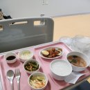 4살 아기, 아데노바이러스, 망아지의 입원 (수원 화홍병원)