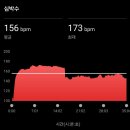 (주)여명 | 여명 808 국제마라톤 10km 후기~~~