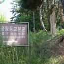 창원 가음정동 고분군 네이버블로그