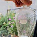 천연화장품&비누 이미지