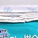 뽀숑 이미지