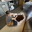 컴뱅크 | [시드니 워홀 D+223~229] 시드니 마지막 주