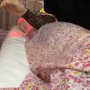 아모르바디 | 강남체형관리 진짜 이건 예술임 아모르테크뷰티