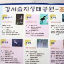 꿩고개근린공원 Daum카페