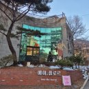 남양주 애견동반 대형카페 숲속카페 에이,플로르