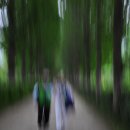 인애유치원 이미지