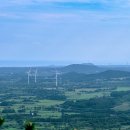오름 | 제주 다랑쉬오름, 반려견과 함께 인생사진 찍기 좋은 오름 후기