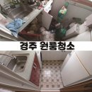 클린 컴퍼니(CLEAN COMPANY)