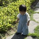 배다리작은도서관 이미지