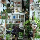 그린스토리 이미지