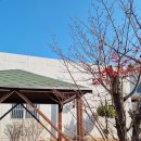 천지팰리스 이미지