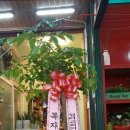 포천해피플라워