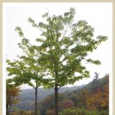 도음산 산림문화수련장 이미지