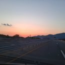 완도의 맛집 이미지