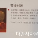 연화주단