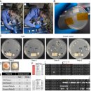 생성공간 이미지