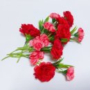 월드태권도장 이미지