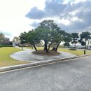 청주대학교 사회복지·공공정책대학원 이미지