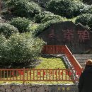 카페안길 이미지