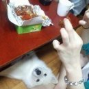 전안초등학교 | 마산 톨페인딩 우드 크래프트 이런 신세계가!?