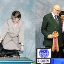 쿠어츠바인에 이미지