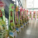 한성대학교 제7대 총장 취임식 축하 쌀드리미화환 - 쌀화환 드리미 이미지