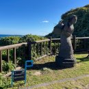 제주 올레길 6코스 | 서귀포 제주올레길 5,6코스 완주후기 (25.11.10)