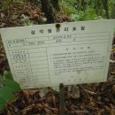 여량초등학교 이미지