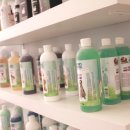 그루밍공화국 이미지