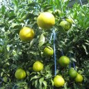 기역농장 이미지