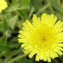 개금2동-8 이미지